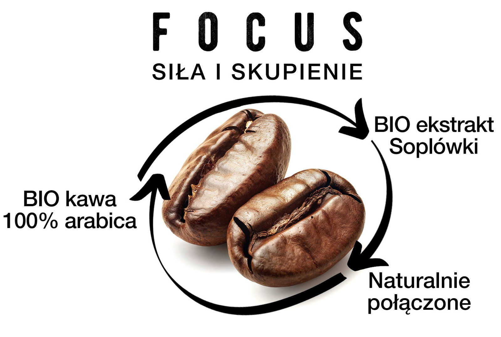 Kawa z soplówką jeżowatą