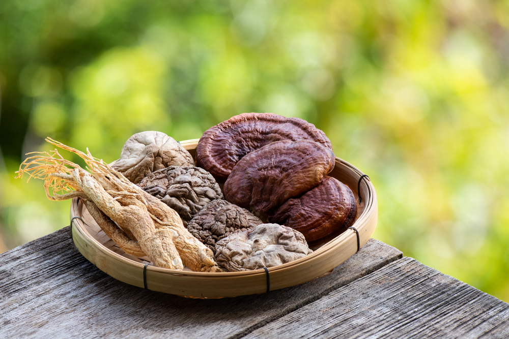 Grzyby shiitake a grzyby reishi – porównanie właściwości i korzyści zdrowotnych