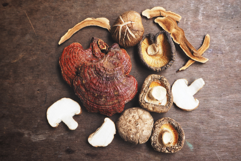 Beta-glukany w grzybach adaptogennych – czym są i jak wpływają na organizm